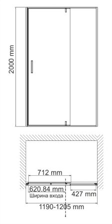 Душевая дверь в проем WasserKRAFT Elbe 74P05 120x200 (распашная)