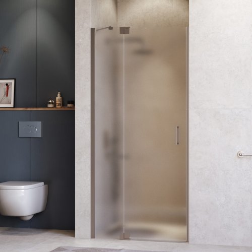 Душевая дверь RGW HO-014Gr 110см 350601411-210