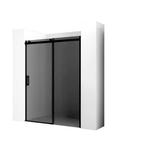 Душевая дверь в проем Ambassador Benefit 19022205HBB 160см