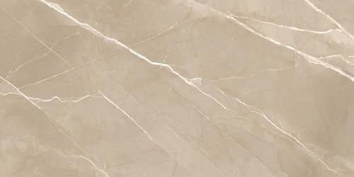 Керамогранит New Trend Essential Marron 60x120 полированная 60120ESE21P
