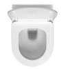 Инсталляция WasserKRAFT Aller с унитазом WasserKRAFT Mindel с микролифтом 10TLT.010.ME.RG02.H002