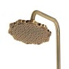 Душевая система Bronze de Luxe Windsor 10120F