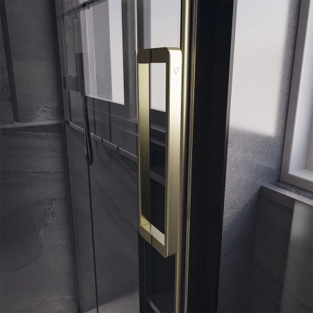 Душевая дверь в проем Veconi Premium Trento PTD40-G-150-01-C4 150см