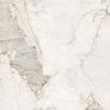 Керамогранит New Trend Seashell 60x60 матовая D60256М