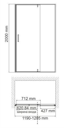 Душевая дверь в проем WasserKRAFT Aisch 55P05 120х200 (распашная)