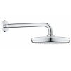 Верхний душ Grohe Tempesta d21см 26411000