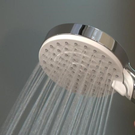 Ручная лейка Hansgrohe Crometta d10см 26330400