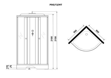 Душевая кабина Niagara Promo P90/13/MT 90x90