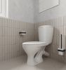 Унитаз-компакт Santeri Версия 1.P401.5.S00.00B.F