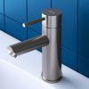 Смеситель для раковины Dorff Logic D3002100SS