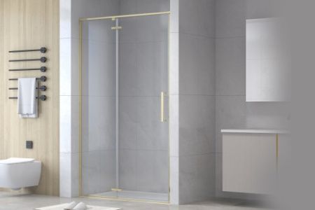 Душевая перегородка Royal Bath Bern 100см BERN-V RB100-T-GD