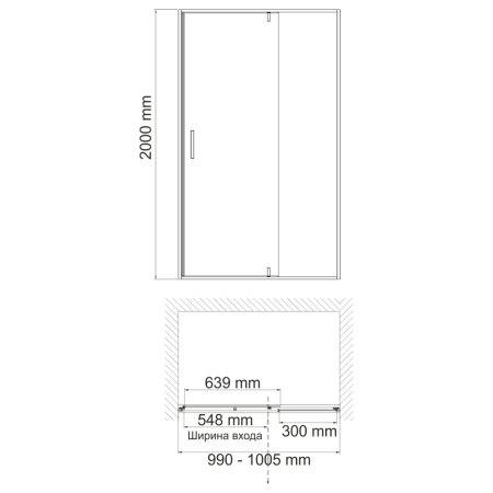 Душевая дверь в проем WasserKRAFT Elbe 74P12 100x200 (распашная)