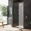Душевая дверь Am.Pm Gem Solo W90G-100-1-195BM
