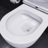 Унитаз подвесной Damixa Sirius DX86C1700SC