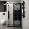 Душевой уголок Niagara Eco NG-1018-14QBLACK 100x80
